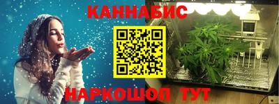 сатива Лесосибирск