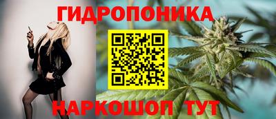 сатива Лесосибирск