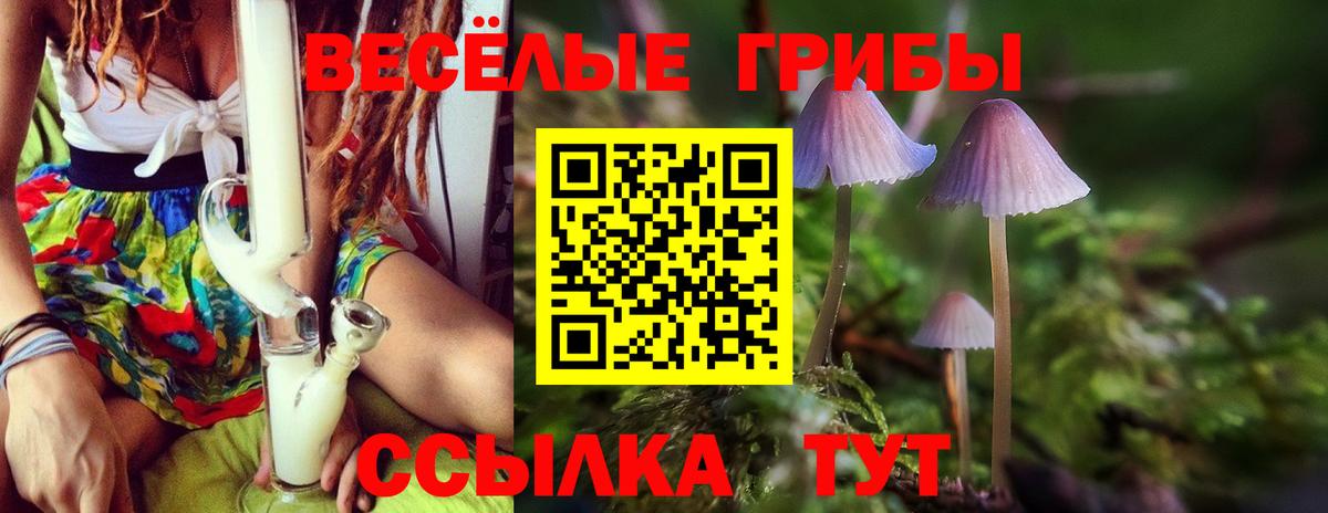 Галлюциногенные грибы ЛСД  Вход с VPN  Псилоцибиновые грибы GOLDEN TEACHER  Десногорск 